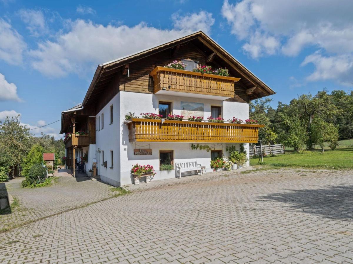 Flat On A Farm Near The Arber Ski Area Нойкірхен-байм-Гайліґен-Блут Екстер'єр фото