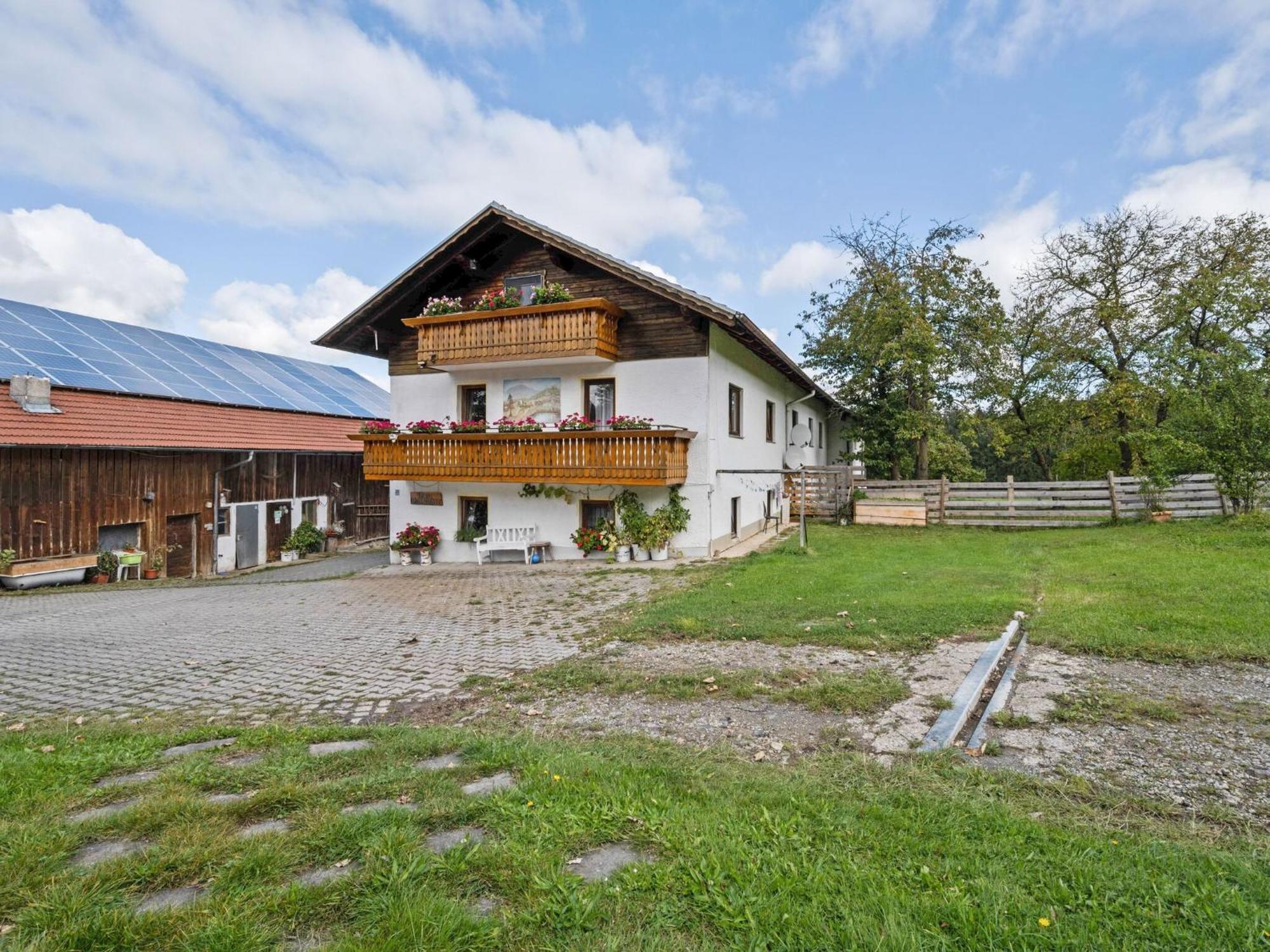 Flat On A Farm Near The Arber Ski Area Нойкірхен-байм-Гайліґен-Блут Екстер'єр фото