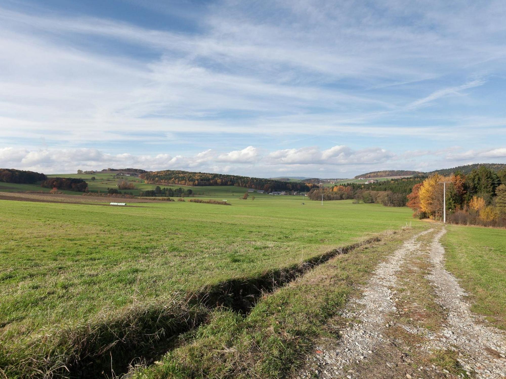 Flat On A Farm Near The Arber Ski Area Нойкірхен-байм-Гайліґен-Блут Екстер'єр фото