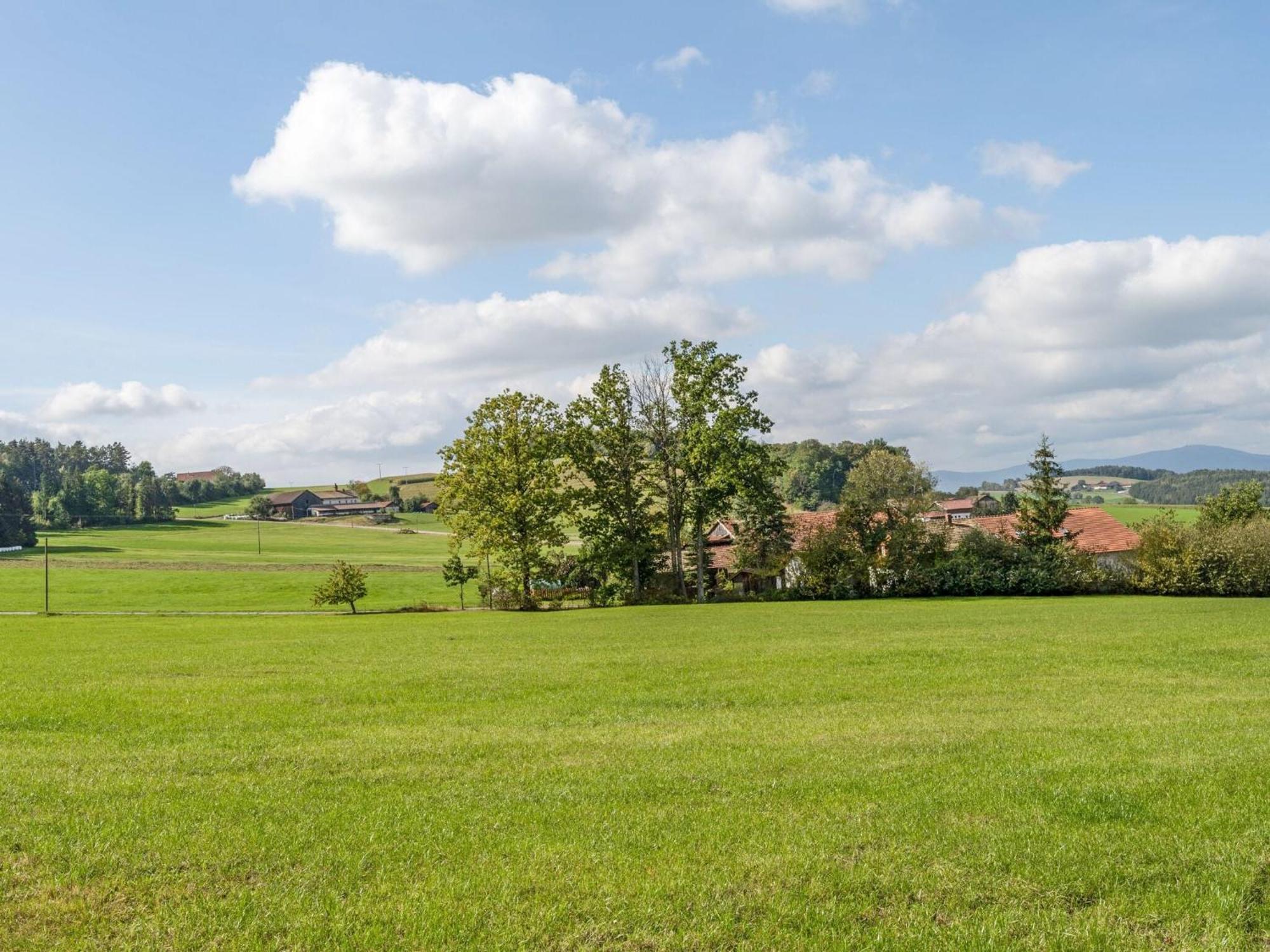 Flat On A Farm Near The Arber Ski Area Нойкірхен-байм-Гайліґен-Блут Екстер'єр фото